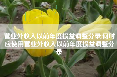 营业外收入以前年度损益调整分录,何时应使用营业外收入以前年度损益调整分录