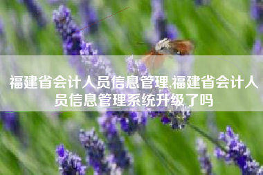 福建省会计人员信息管理,福建省会计人员信息管理系统升级了吗