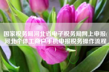 国家税务局河北省电子税务局网上申报(河北个体工商户手机申报税务操作流程
)