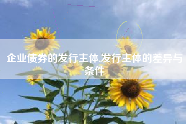 企业债券的发行主体,发行主体的差异与条件