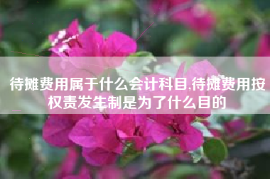 待摊费用属于什么会计科目,待摊费用按权责发生制是为了什么目的