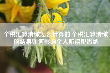 个税汇算清缴怎么计算的,个税汇算清缴的结果如何影响个人所得税缴纳