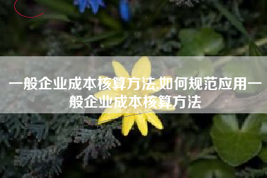 一般企业成本核算方法,如何规范应用一般企业成本核算方法
