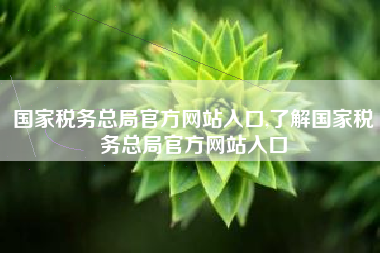 国家税务总局官方网站入口,了解国家税务总局官方网站入口