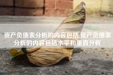 资产负债表分析的内容包括,资产负债表分析的内容包括水平和垂直分析