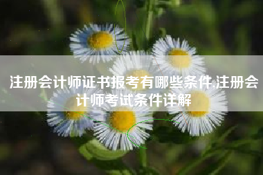 注册会计师证书报考有哪些条件,注册会计师考试条件详解