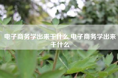 电子商务学出来干什么,电子商务学出来干什么