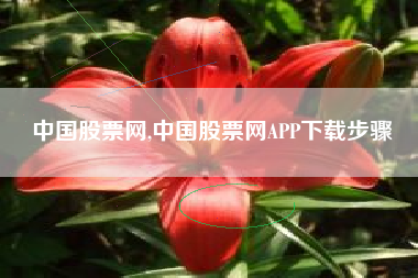 中国股票网,中国股票网APP下载步骤