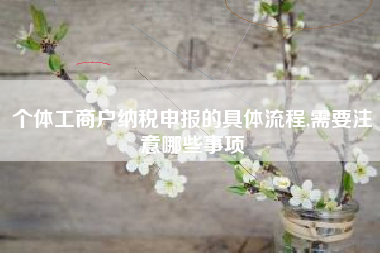 个体工商户纳税申报的具体流程,需要注意哪些事项