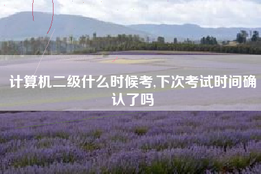 计算机二级什么时候考,下次考试时间确认了吗