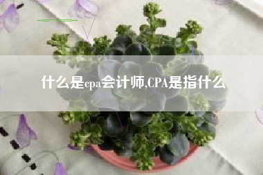 什么是cpa会计师,CPA是指什么