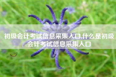 初级会计考试信息采集入口,什么是初级会计考试信息采集入口