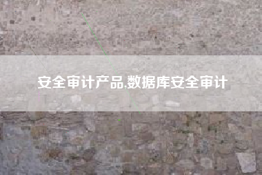 安全审计产品,数据库安全审计