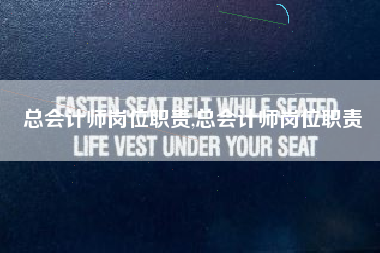 总会计师岗位职责,总会计师岗位职责