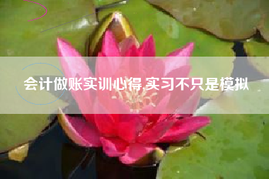 会计做账实训心得,实习不只是模拟