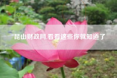 昆山财政网,看看这些你就知道了