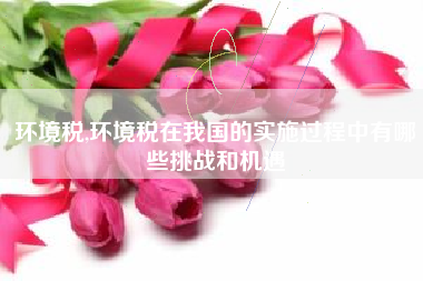 环境税,环境税在我国的实施过程中有哪些挑战和机遇