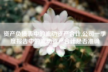 资产负债表中的流动资产合计,公司一季度报告中的流动资产合计是否准确