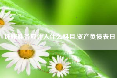 坏账准备应计入什么科目,资产负债表日