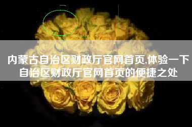 内蒙古自治区财政厅官网首页,体验一下自治区财政厅官网首页的便捷之处