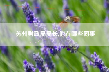 苏州财政局局长,他有哪些同事