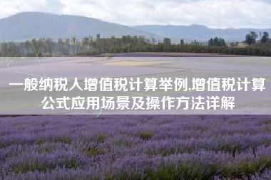 一般纳税人增值税计算举例,增值税计算公式应用场景及操作方法详解