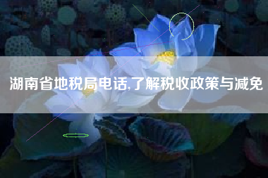 湖南省地税局电话,了解税收政策与减免