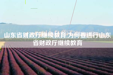 山东省财政厅继续教育,为何要进行山东省财政厅继续教育