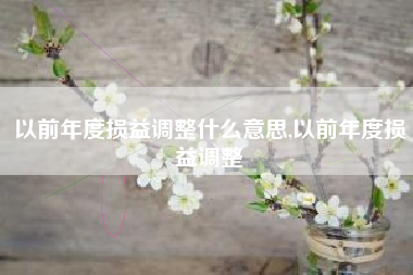 以前年度损益调整什么意思,以前年度损益调整