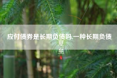 应付债券是长期负债吗,一种长期负债