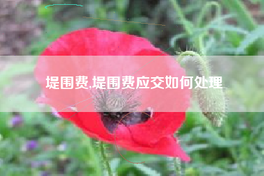 堤围费,堤围费应交如何处理