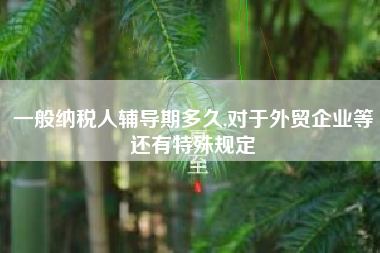 一般纳税人辅导期多久,对于外贸企业等还有特殊规定