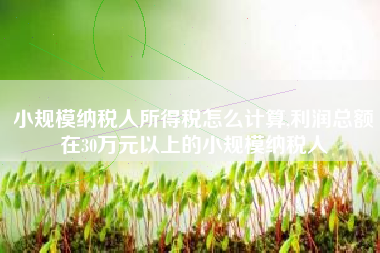 小规模纳税人所得税怎么计算,利润总额在30万元以上的小规模纳税人