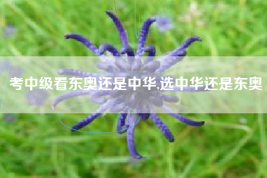 考中级看东奥还是中华,选中华还是东奥