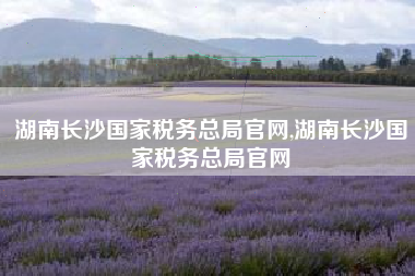 湖南长沙国家税务总局官网,湖南长沙国家税务总局官网