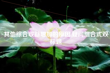 其他综合收益增加的原因,疑问组合式双标题