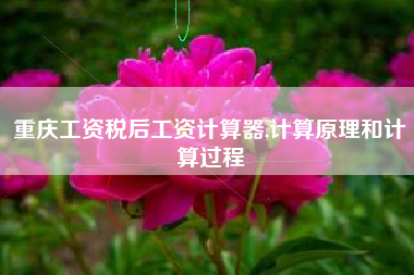 重庆工资税后工资计算器,计算原理和计算过程