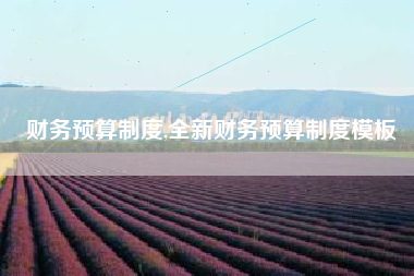 财务预算制度,全新财务预算制度模板