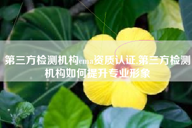 第三方检测机构cma资质认证,第三方检测机构如何提升专业形象