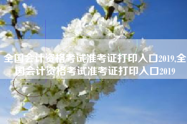 全国会计资格考试准考证打印入口2019,全国会计资格考试准考证打印入口2019
