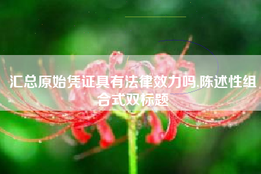 汇总原始凭证具有法律效力吗,陈述性组合式双标题