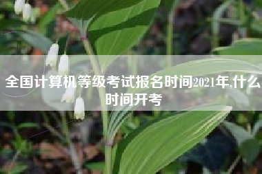 全国计算机等级考试报名时间2021年,什么时间开考