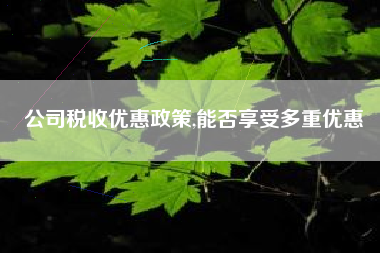 公司税收优惠政策,能否享受多重优惠