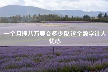 一个月挣八万要交多少税,这个数字让人忧心