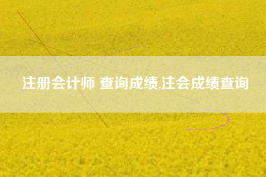注册会计师 查询成绩,注会成绩查询