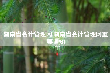 湖南省会计管理网,湖南省会计管理网重要通知