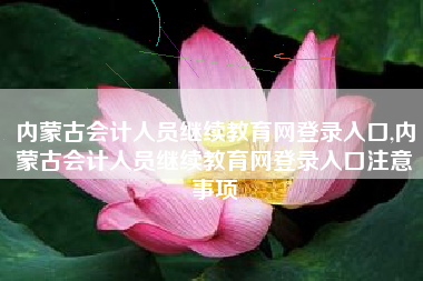 内蒙古会计人员继续教育网登录入口,内蒙古会计人员继续教育网登录入口注意事项