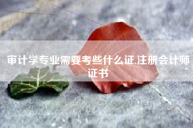 审计学专业需要考些什么证,注册会计师证书