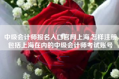 中级会计师报名入口官网上海,怎样注册包括上海在内的中级会计师考试账号