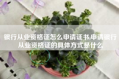 银行从业资格证怎么申请证书,申请银行从业资格证的具体方式是什么